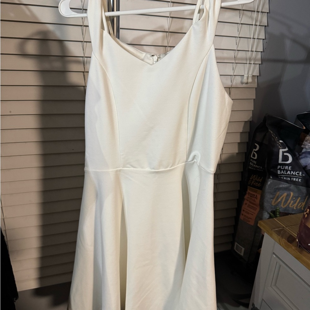 Francesca's Collections Cream Mini Dress